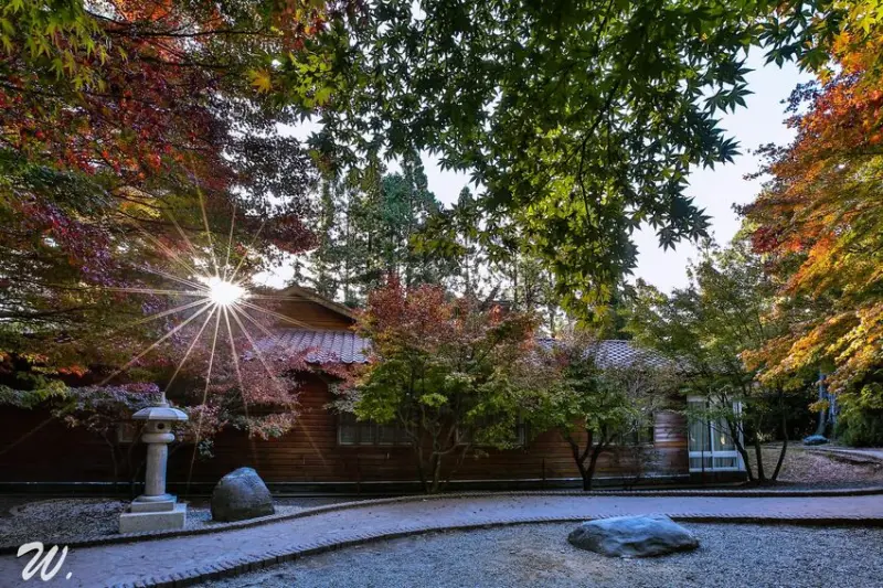 福壽山農場⎥漫遊松盧絕美賞楓地點,群山環抱賞楓、採果去! @捲捲頭 Wonderful 品味。生活