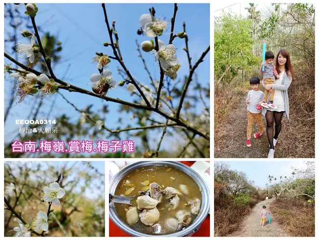 【台南景點】梅嶺風景區 ♥ 賞梅.踏青.吃梅子雞 冬天來賞梅吧 @ 台南旅遊.台南賞梅.伍龍步道賞梅趣