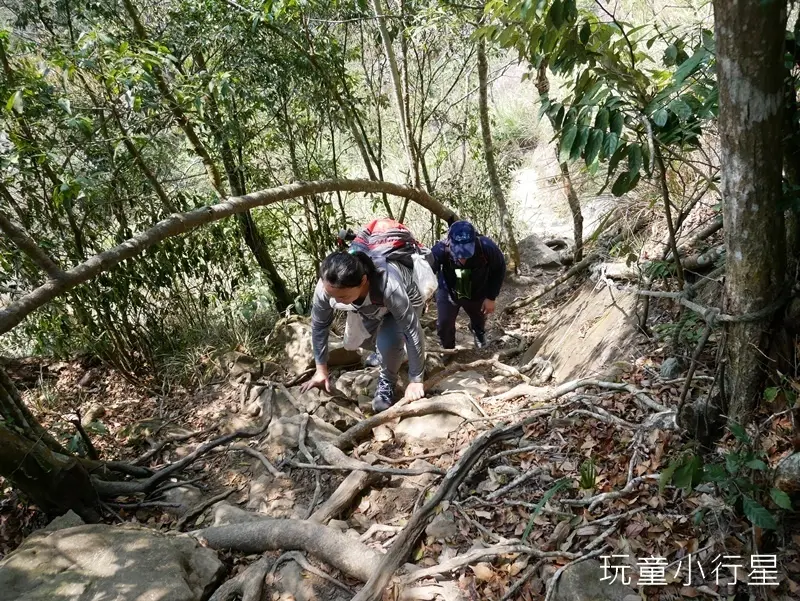梅峰古道+伍龍步道+稜線步道+一線天+獵鷹尖O型走｜梅嶺賞梅+螢火蟲｜台南楠西登山步道