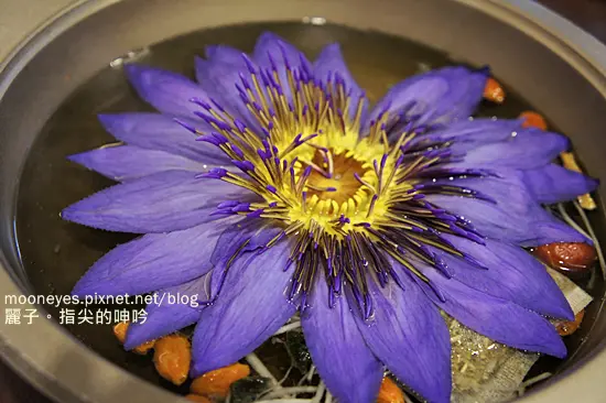 [美食] 友善餐廳：櫻之田野養生野菜鍋(台北店)