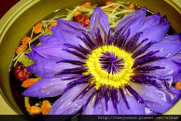 花花，甲飽沒【台北食記】松山-櫻之田野養生野菜吃到飽 九品蓮花好美啊