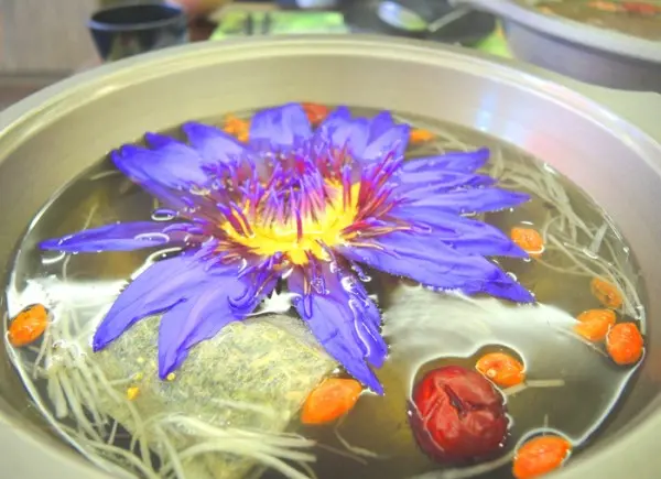 台北南京三民）櫻之田野養生野菜鍋(台北店)-吃火鍋也能看蓮花秀，回訪率１００％