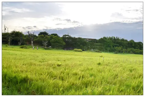 新竹香山區景點))青青草原