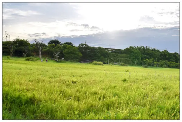 新竹香山區景點))青青草原