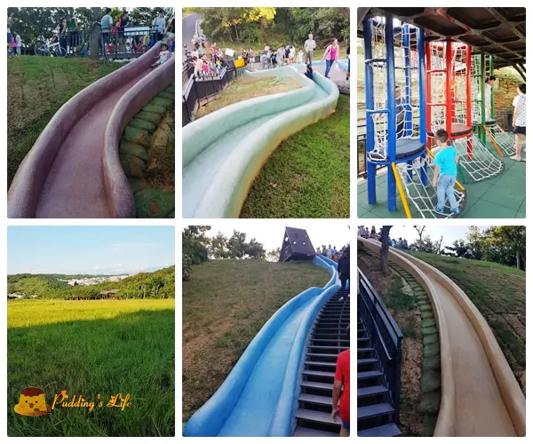 【新竹旅遊】香山-北台灣最長磨石子滑梯《青青草原溜滑梯》~~~大人小孩都愛玩