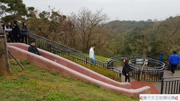 (新竹●香山)十九公頃青青草原~北台灣最長的彩色磨石子溜滑梯~五大草原~櫻花草原~免門票
