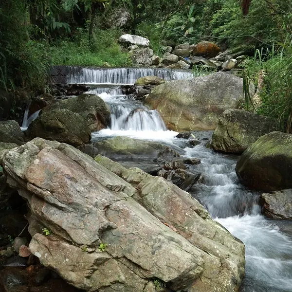 崙埤溪水利公園