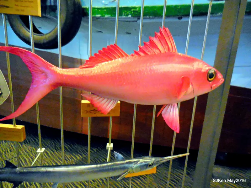 宜蘭蘭陽博物館之旅(三之三)館內常設展篇 --- 山、平原、海層大自然與民俗文化生活