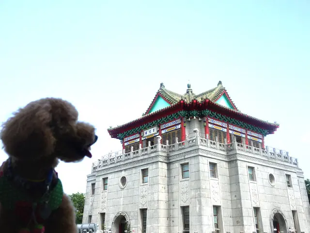 
【金門遊記】兩岸開戰砲彈打不到的莒光樓
