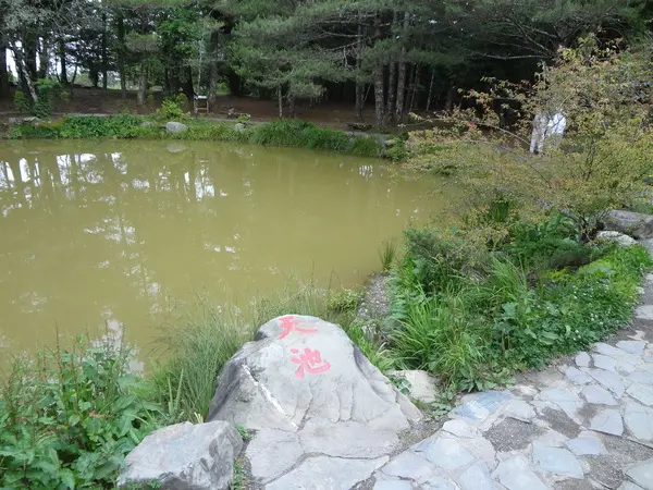 1020713[禮官三小愛台灣]當總統的滋味梨山天池、達觀亭另類又超美的蔣公行館