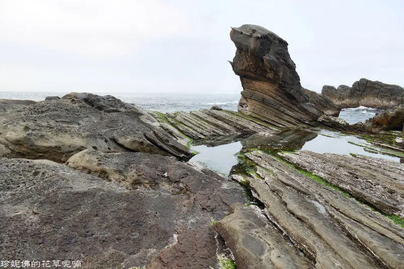【新北-瑞芳區】大自然的曠世鉅作「南雅奇岩」