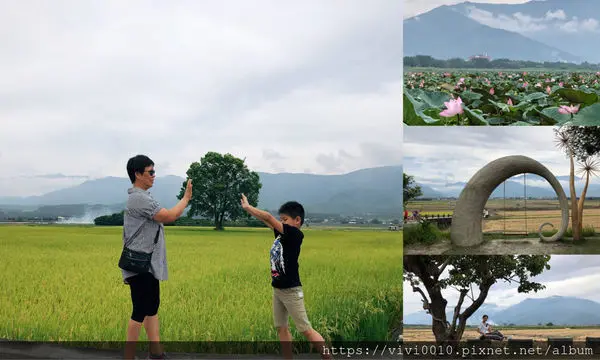 圓圓家出去玩-《台東景點》池上天堂路，不只ㄧ顆金城武樹，寬闊田園與山景，美的就像一幅畫