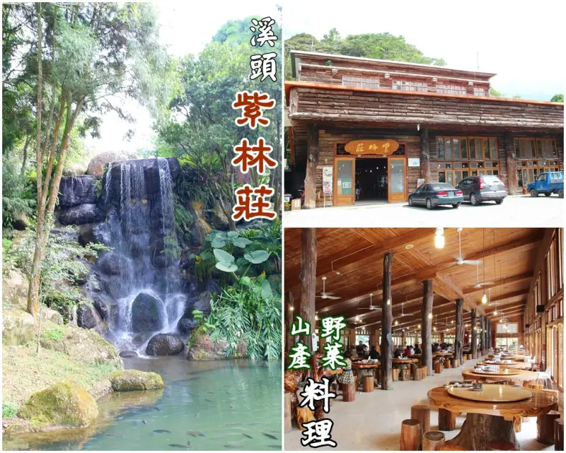 [食記推薦] [南投縣 – 鹿谷鄉] 紫林莊野菜料理 /  竹林泛紫、山泉如莊 大型團體 道地特產 特色鱘龍魚料理