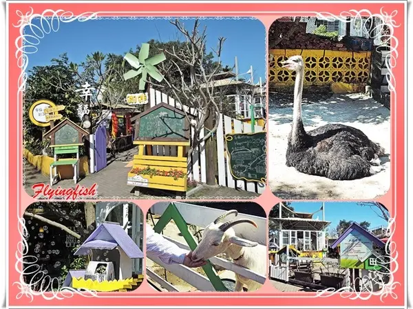 ✜ 2014寒假宜蘭三天兩夜輕旅行: 讓大、小朋友都感到幸福滿懷滴歡樂製造器－宜蘭「幸福20號農場」>m<                
      