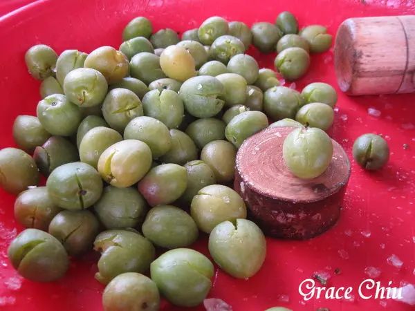 鶯歌陶博館2017甕藏春之梅-醃脆梅活動+鶯歌老街古早窯體驗手拉胚