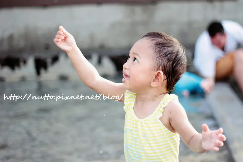 【初心365-118】鶯歌陶瓷博物館 初體驗！