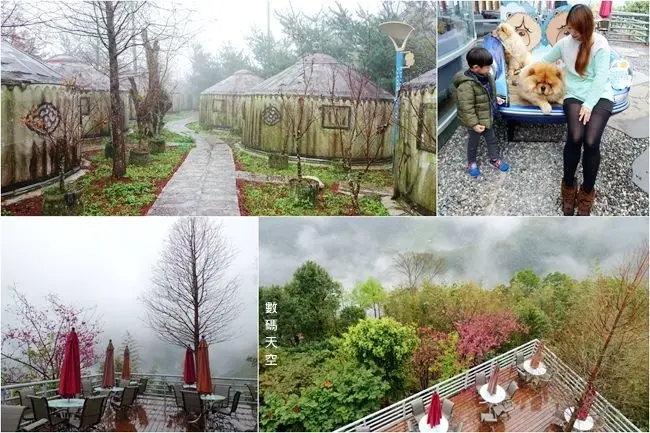 新竹尖石景觀餐廳 ▶ 數碼天空景觀餐廳 ▶ 可愛鬆獅犬、IG打卡蒙古包、嫣紅櫻花 離天空最近的雲海美景!