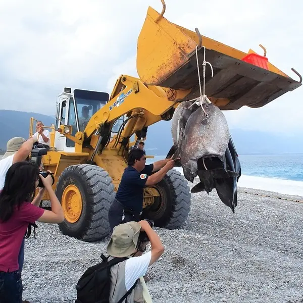 七星潭定置漁場