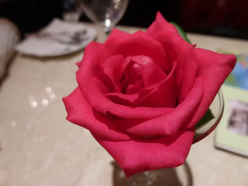 【食記】古典玫瑰園，英式下午茶，甜甜給人好心情♥