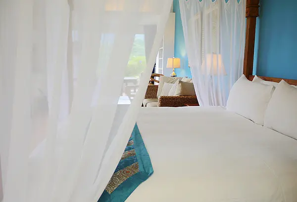 樹蛙 & 角鴞 . 夏夜交響曲 * 台東長濱 . 竹湖山居