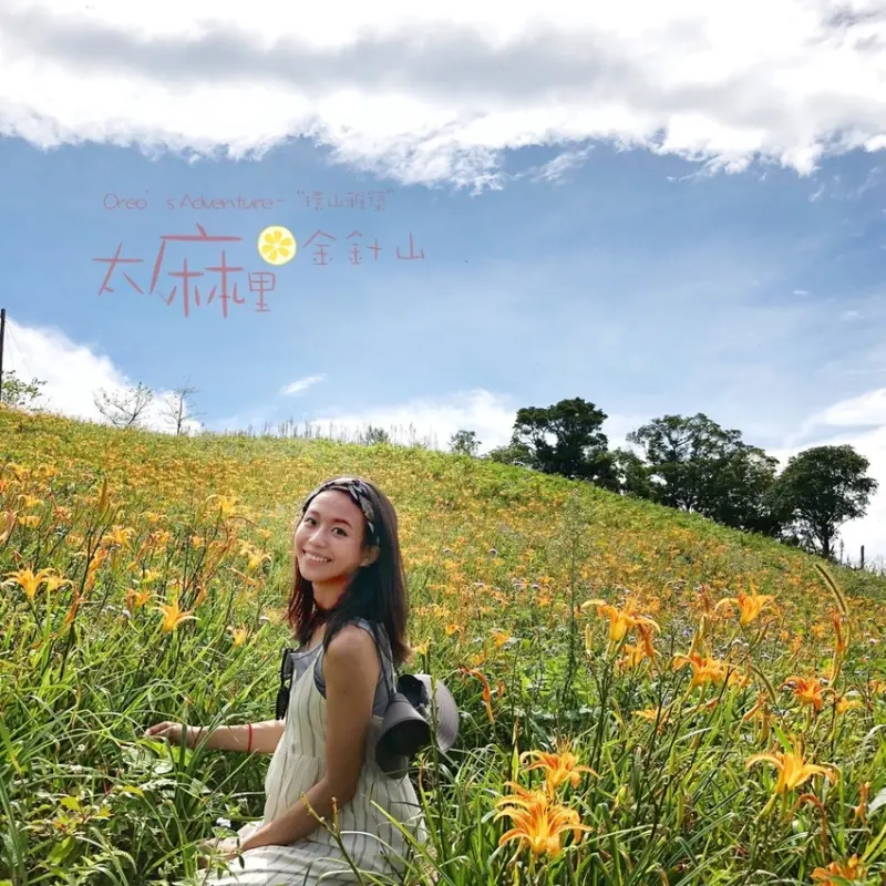 【台東】太麻里金針山「環山雅築」美不勝收，實如其名-行程篇