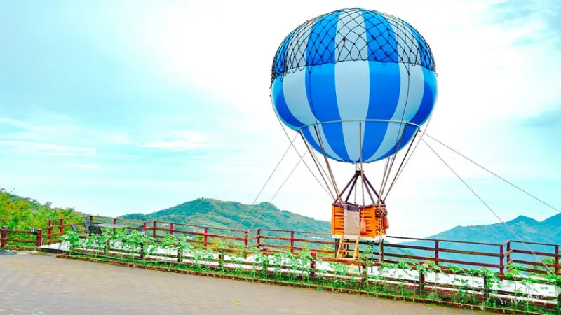 ★台東太麻里★【環山雅築】登熱氣球不用等鹿野/賞金針花、櫻花、楓葉通通有。