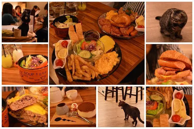 貓咪先生的朋友 ~~台北東區優質早午餐．感受萌貓伴食的溫馨氣息