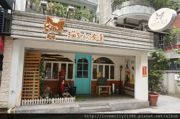 (美食)北市大安 忠孝復興站美式早午餐推薦✔貓奴必訪聖地!!!!!::貓咪先生的朋友(貓ちゃんの友達)::