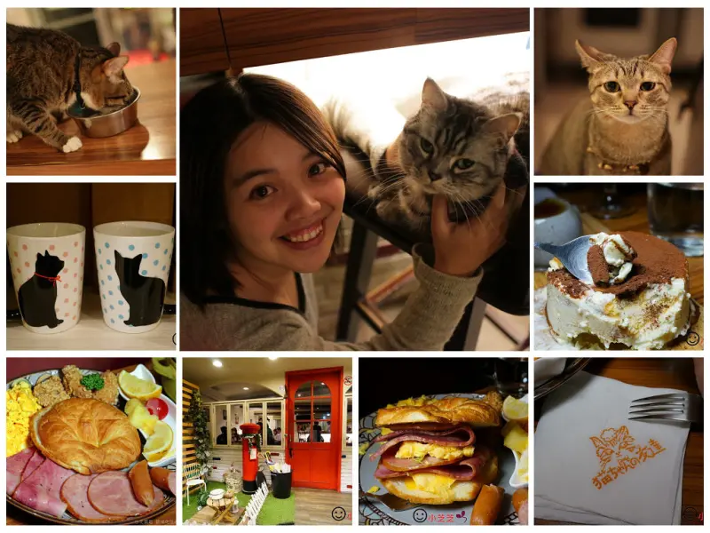 【台北美食】貓咪先生的朋友 喵～萌貓伴食 東區貓咪餐廳 早午餐料理 超可愛>0</////