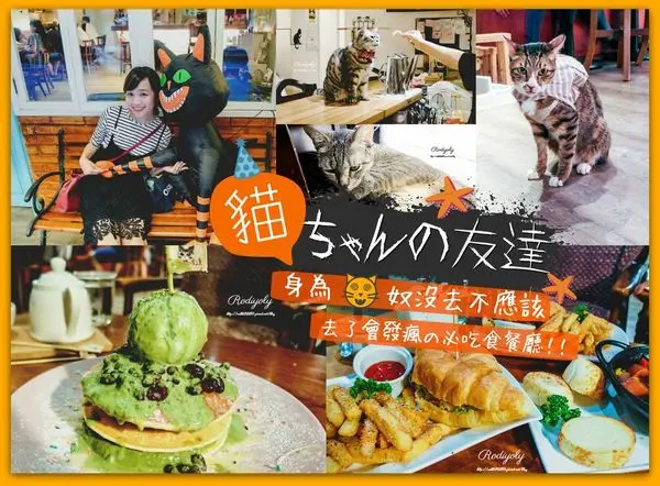 2017台北大安區/貓咪先生的朋友/倒數計時!東區巷弄中的貓咪餐廳!奴隸們快來品嘗美式煎餅吧!/9月即將歇業