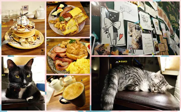 [愛評口碑]台北忠孝復興站 貓咪先生的朋友 萌貓伴食 跟可愛療癒店貓一起吃豐盛早午餐吧 *WIFI 菜單* 套餐/單點 忠孝復興餐廳/忠孝復興美食/貓咪餐廳