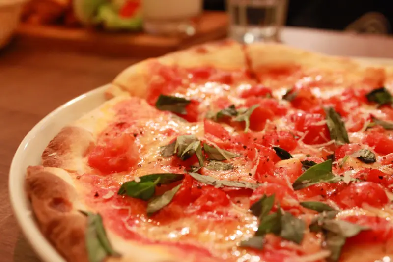 [台北美食] Zoo Café 動物園野餐咖啡。寵物友善必推店家!與毛小孩一起來野餐吧! // 東區.捷運忠孝敦化.捷運國父紀念館站.寵物有善