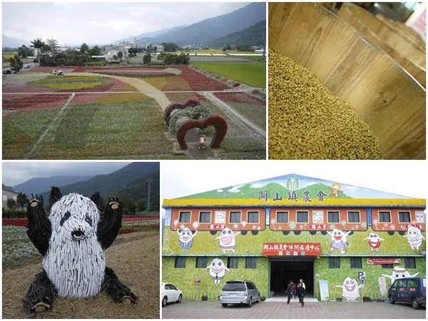 台東關山景點 米國學校/關山花海 賞花吃好米～阿一一寒冬台東之旅        
      