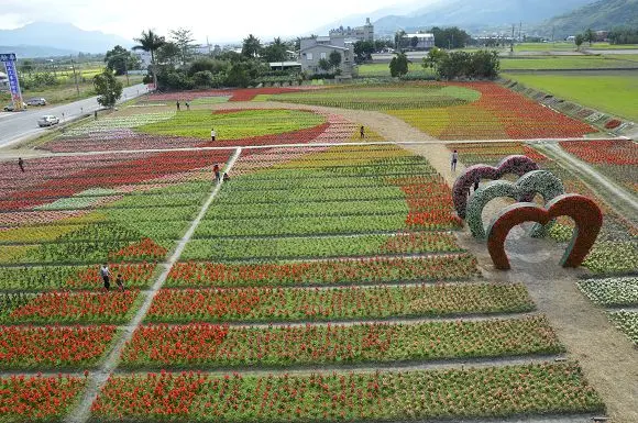 迎春賞花趣(下)~~關山花海(米國學校)