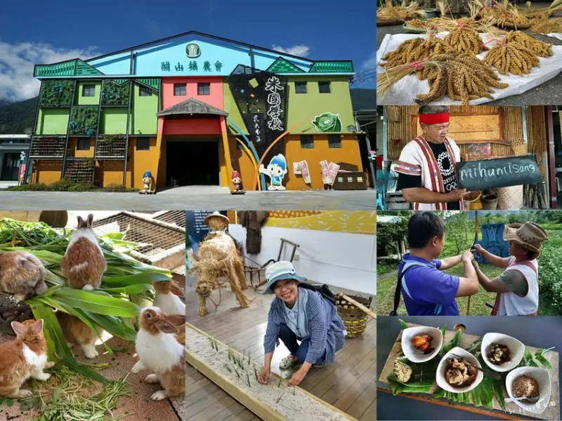 【台東關山半日遊一日遊】米國學校自己的米自己DIY/大米小米打獵趣當一日獵人/國產雜糧十大經典體驗路線台東關山農會。