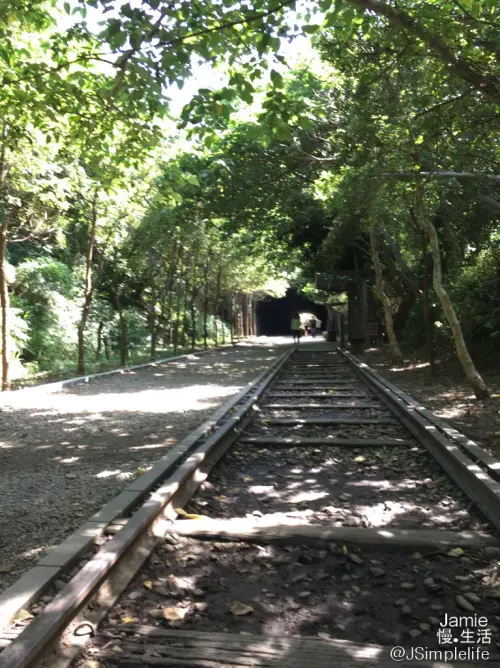 【苗栗慢旅】踏入幻境，崎頂車站＆崎頂子母隧道，享受樹蔭環抱傳遞的柔軟溫度