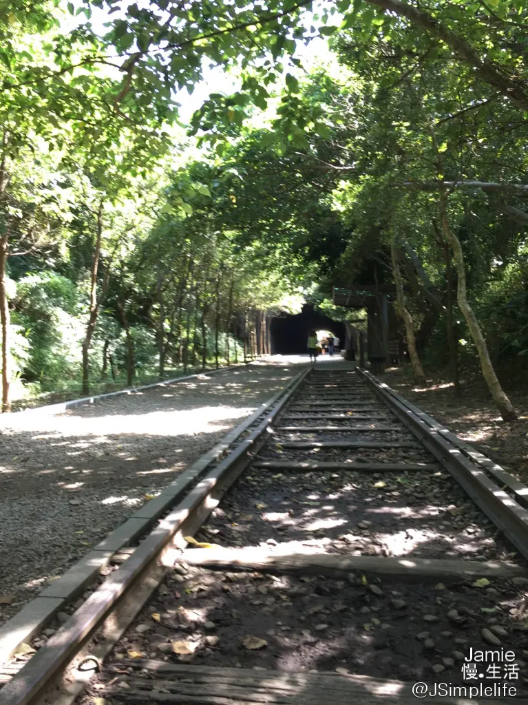 【苗栗慢旅】踏入幻境，崎頂車站＆崎頂子母隧道，享受樹蔭環抱傳遞的柔軟溫度