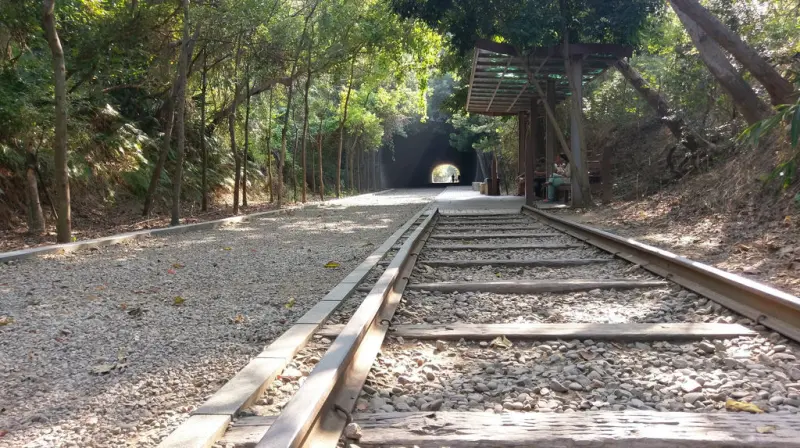 「親子鐵道遊 第6話 崎頂車站」誤入魔法森林的奇幻世界＠崎頂子母隧道