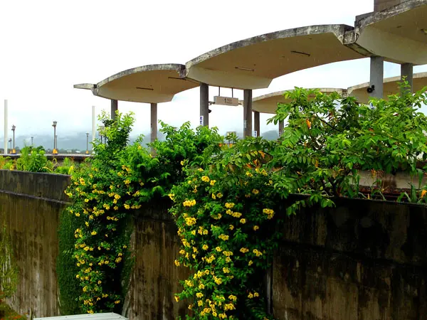 [2013喵哩呱啦5天4夜機車環島] DAY2>>花蓮--台東(東里車站)