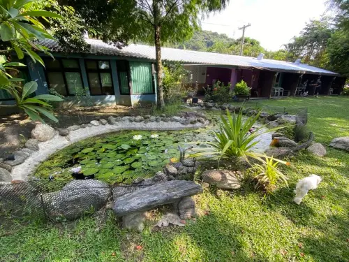 【2020台灣環島之旅】花蓮寵物友善民宿-白陽山莊/有草皮/有狗狗盥洗處.吹水機