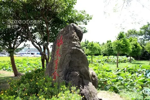 再訪桃園觀音，水來青舍，無菜單料理～
