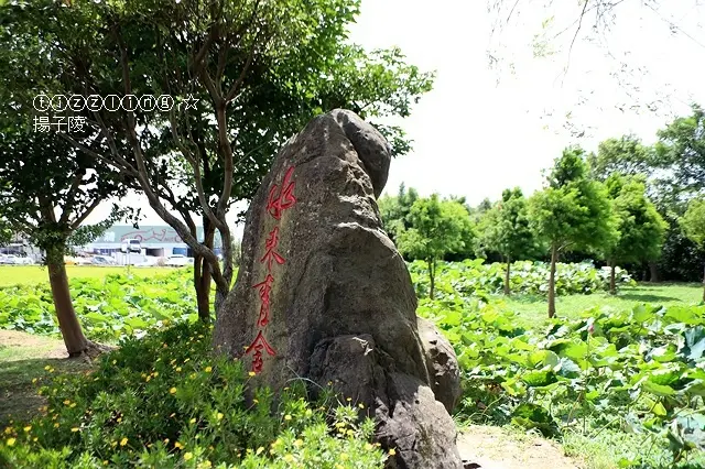 再訪桃園觀音，水來青舍，無菜單料理～
