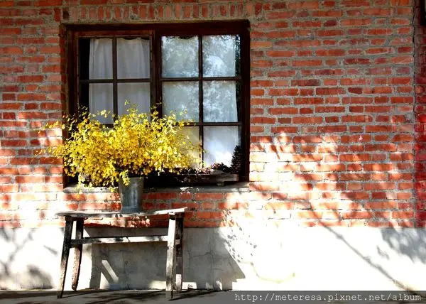 【南投埔里】倘佯大自然的顏氏牧場露營區