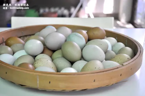 顛覆傳統印象的彩色雞蛋就在桂園自然生態農場