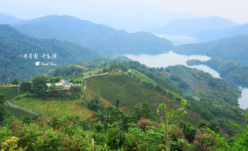 【遊記．石碇】石碇景點及美食推薦 - 千島湖及八卦茶園景色 / 豆腐冰淇淋~2018年新北好禮第一名