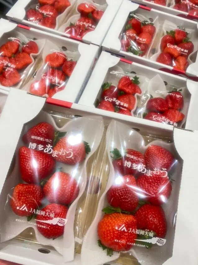 好市多Costco進口水果大推薦👍