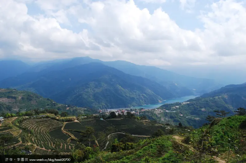 [南投] 觀湖仙境，楓林農場