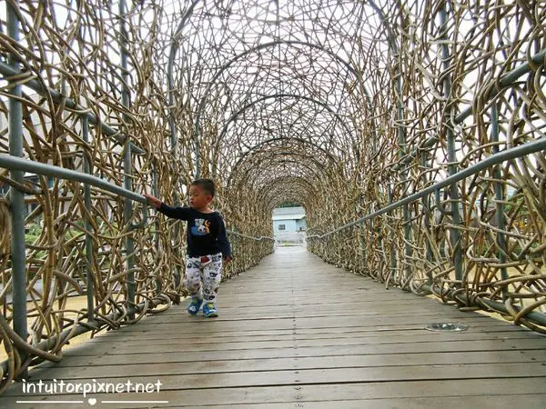 [嘉義]木都榮景再現，動感火車相伴/森林之歌/嘉義親子景點