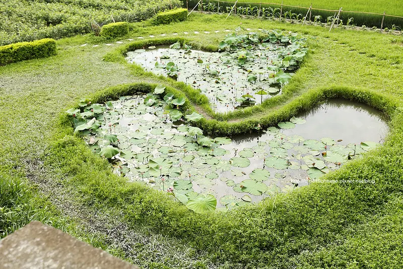 【彰化景點】大村雙心池塘.平和夕照平台.村東國小 -來個一日小遊.順便吃吃彰化員林鹿港美食吧