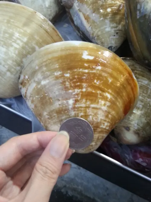 【花蓮旅遊】小而好的自強夜市